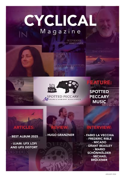Issue #19 of Cyclical Magazine.
